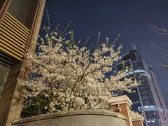 -蜀腾川·火锅鱼.烤鱼(新世界城店)