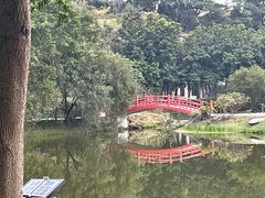 -东莞植物园