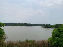 -大湾区中央湿地公园