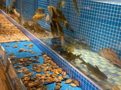 -蓝钻·国际美食海鲜自助百汇(西直门店)