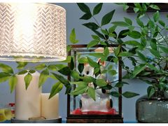 -肥朵食堂(带梦胡同店)