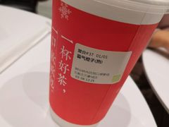 -奈雪的茶(石家庄万象城店)