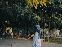 -西苑公园