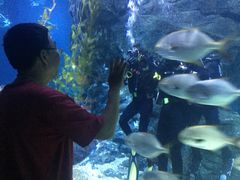 -暹罗海洋世界