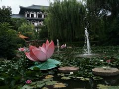 -观唐（国际）度假村温泉