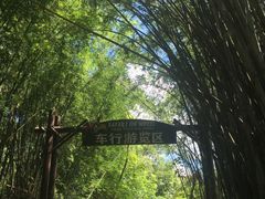 -海南热带野生动植物园