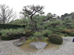 -名古屋城