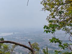 -紫金山山顶公园