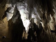 -怀托摩萤火虫洞