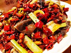 -福苗小骆驼烧烤(莲湖路店)