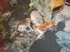 -南枝小馆(银鱼巷店)