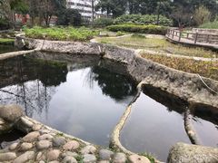 -成都市活水公园