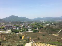 -龙坞茶村