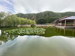 -钰田大院·怀柔地道农家菜·烤虹鳟鱼(雁栖湖店)