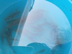 -蒲河岛湿地公园