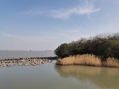 -上海滨江森林公园