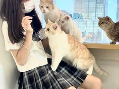 -Heymao猫咖.咖啡厅(东门店)