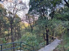 -香山公园