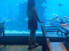 -海棠湾洲际-涛·海底餐厅·美人鱼·自助餐·海底隧道
