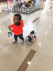 -Early Rider 儿童自行车(蓝色港湾店)