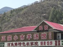 -河鱼鲜特色农家院