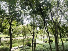 -昆山城市公园
