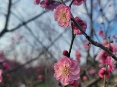 -花开海上生态园