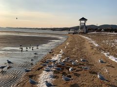 -老虎石海上公园