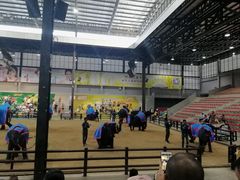 -东芭乐园