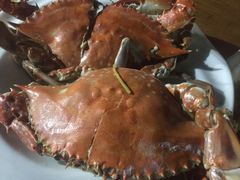 -胖大嫂渔家排档(半边山店)