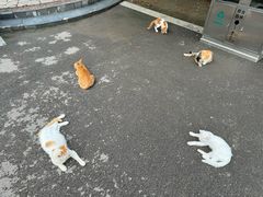 -达活泉公园