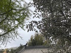 -潭柘寺景区