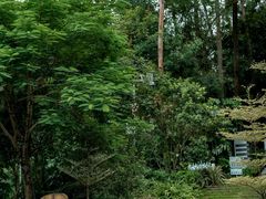 -火炉山森林公园