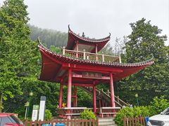 -长沙黑麋峰国家森林公园