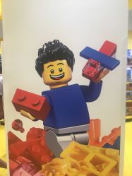 -乐高授权专卖店(华采天地店)