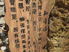 -破瓦寒窑·地摊烤羊排