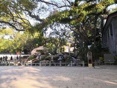 -江心屿景区