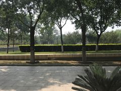 -北京国家会计学院