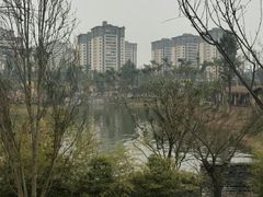 -枫香湖儿童公园