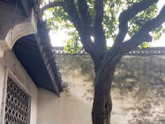 -绍兴古城
