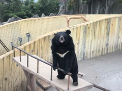 -东方熊牧场