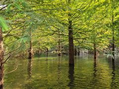 -卢小厨私房菜(长兴店)