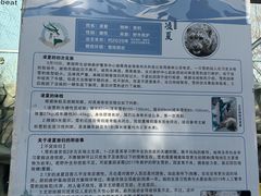 -青藏高原野生动物园