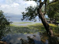 景点-西昌邛海湿地