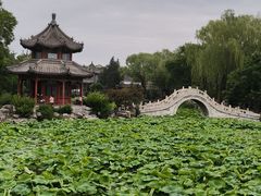 -莲池书院博物馆
