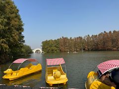 -上海海湾国家森林公园