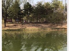 -大兴滨河森林公园