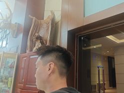 -尼特斯男士发型馆