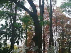 -四海公园(南山区)
