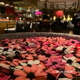 作为牛排家旗下子品牌，继承了牛排家环境好、服务好、食